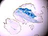 757_30d_h__th
